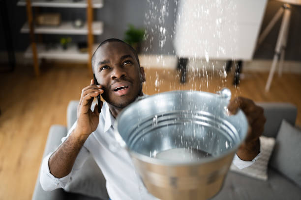 Best Water damage contractors near me  in Covington, OH