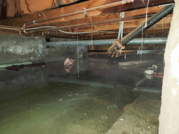Reliable Covington, OH Water damage restoration Solutions