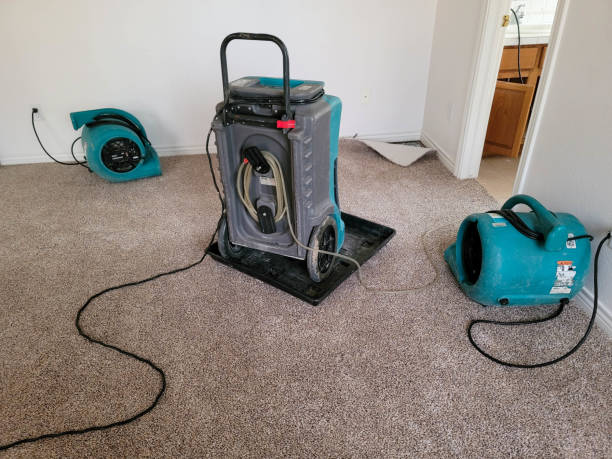 Best Flooded house restoration  in Covington, OH