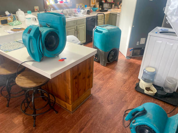 Best Water damage restoration services  in Covington, OH