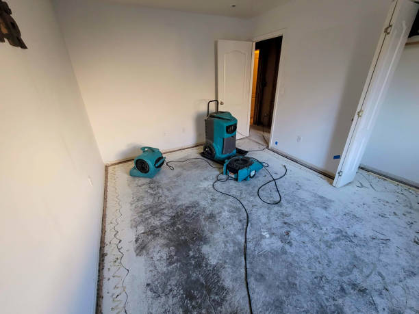 Best Flood damage cleanup  in Covington, OH