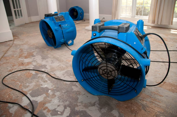 Best 24/7 water damage repair  in Covington, OH