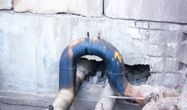 Best Water damage restoration mold remediation  in Covington, OH