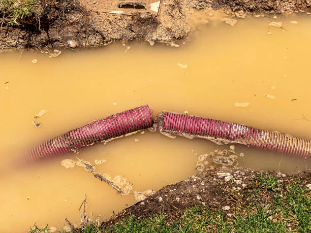 Best Sewage cleanup and water damage restoration  in Covington, OH