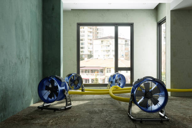 Best Basement water damage restoration  in Covington, OH