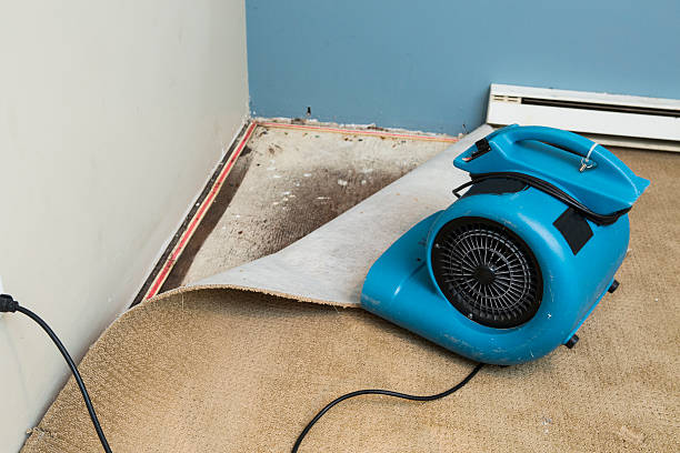 Best Local water damage restoration  in Covington, OH